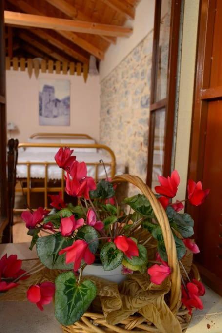 A Small Paradise In Mani With Local Hospitality Orovas Buitenkant foto