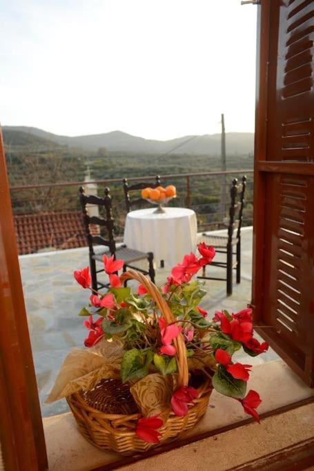 A Small Paradise In Mani With Local Hospitality Orovas Buitenkant foto