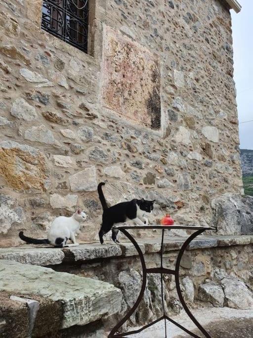 A Small Paradise In Mani With Local Hospitality Orovas Buitenkant foto